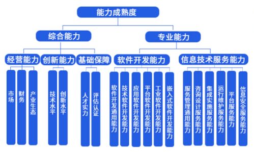 中科大旗榮獲成都市信息技術(shù)咨詢(xún)服務(wù)能力成熟度三級(jí)認(rèn)證